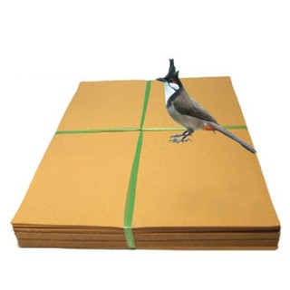 Giấy lót lồng chim chào mào vuông dày dặn nhiều kích thước trọng lượng 1kg - 2kg