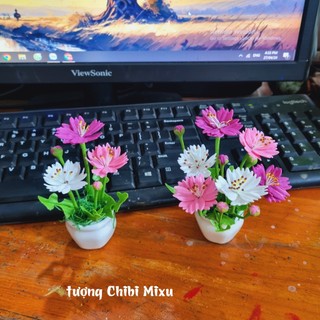 Chậu hoa cúc - hoa sao nhái bằng đất sét Nhật mini cao 10-12cm