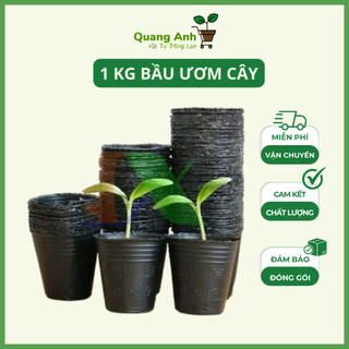 1 kg bầu ươm cây