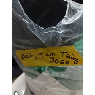 đầm trùng,lỗi soi(9666)