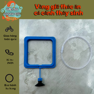 Vòng giữ thức ăn cá cảnh thủy sinh