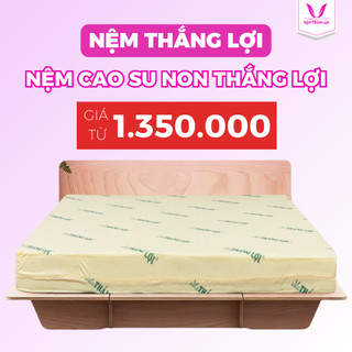 Nệm cao su non thắng lợi, bảo hành 15 năm xẹp lún, hàng chính hãng