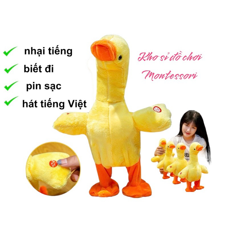 [Loại sạc] Vịt,xương rồng nhại giọng biết nói biết đi biết hát - Vịt vàng poka bông nhại tiếng kêu quạc quạc vui nhộn
