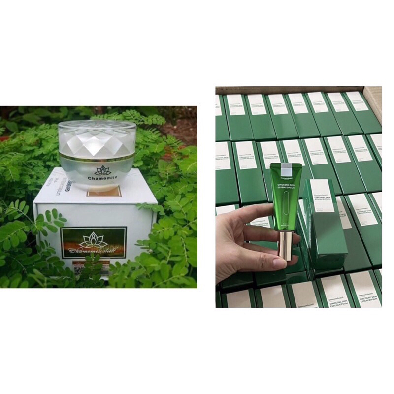 Kem hồng sâm chamomileskill