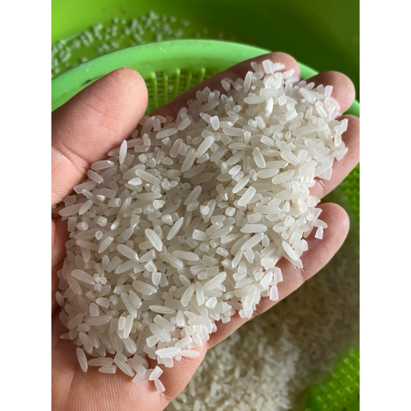 combo 5kg gạo nhà trồng Đắk Lăk