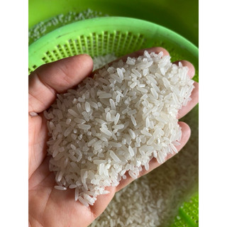 combo 5kg gạo nhà trồng Đắk Lăk