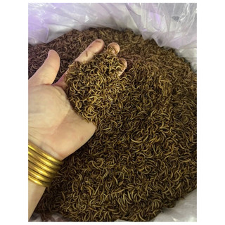 Sâu nhỏ xấy khô cho hamster 100g