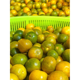 [MTTHOM] • TẮC NGÂM ĐƯỜNG MIX THƠM🍍 _ HỦ 400gr