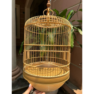 A3- Lồng yến, tiểu mi, choè đất chất liệu trúc cật già chân dũi dừa hàng kỹ đẹp- độc lạ size 28*36 kèm phụ kiệnu