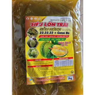 Túi siêu lớn trái sầu riêng 22 22 22