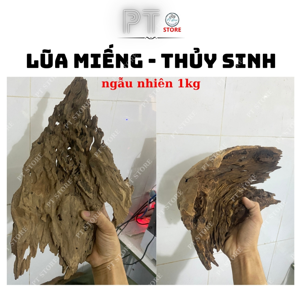 Lũa Săn Đá Miếng Trang Trí, Thiết Kế Layout Bể Thủy Sinh Hàng Đẹp (1KG)
