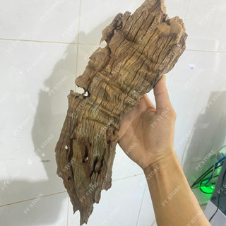 Lũa Săn Đá Miếng Trang Trí, Thiết Kế Layout Bể Thủy Sinh Hàng Đẹp (1KG)