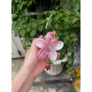 Kẹp hoa sứ thạch hồng 8cm (hàng sẵn có sỉ)