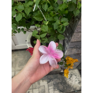 Kẹp hoa sứ thạch hồng 8cm (hàng sẵn có sỉ)