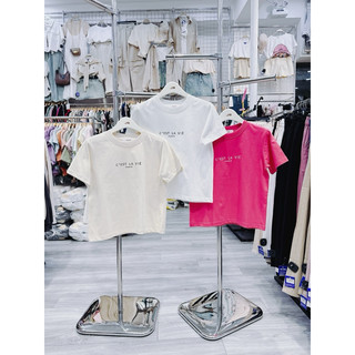 Áo thun babytee vải đẹp