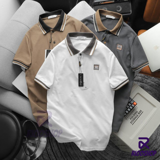 Áo polo nam cotton cao cấp, áo thun nam có cổ đẹp thiết kế màu trắng, xám, nâu RIOOSHOP RCP001 có size lớn, big size