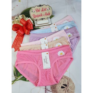 Combo 5 quần lót nữ size 40 - 50kg thun lạnh in hoa cúc mềm mịn, thoáng mát. fom ôm vòng 3 - đồ lót quỳnh anh