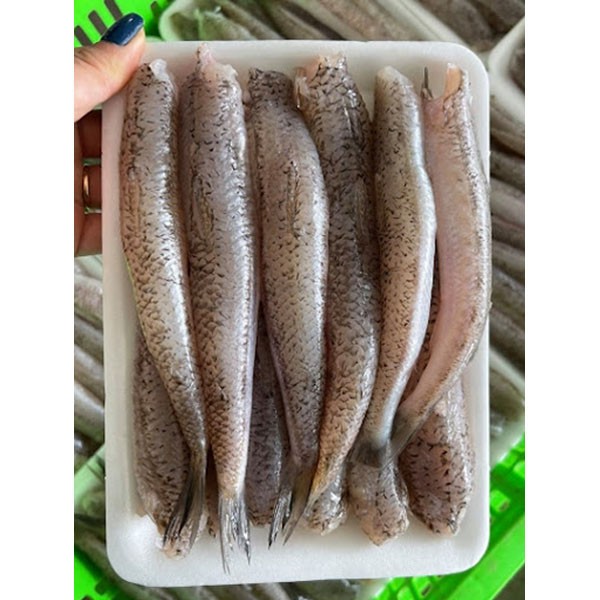 Cá bống biển HTK làm sạch khay 500gr phù hợp cho chiên, hấp, kho [HN giao hàng hỏa tốc] - Ảnh 6