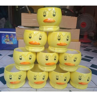 Chậu gốm sứ giả cổ trồng sen đá , xương rồng nhiều mẫu nhiều size