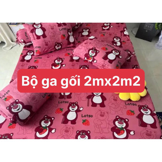 Bộ ga thun 2mx2m2 hàn quốc 4 món