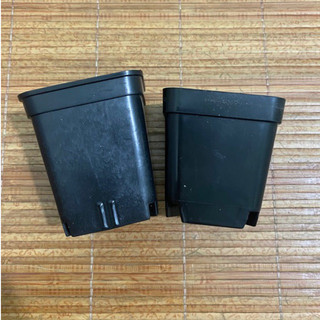 Chậu nhựa trồng cây 7cm | HungGarden