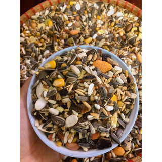 Hạt trộn mix hoa quả khô cho Vẹt