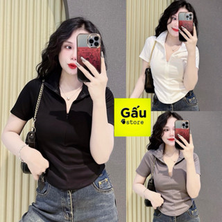 Áo thun ôm body nữ dáng ngắn cổ bẻ phối khoá kéo ( Cổ bẻ khoá kéo A.H )