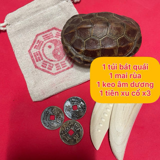 Mai rùa dùng để gieo quẻ kinh dịch