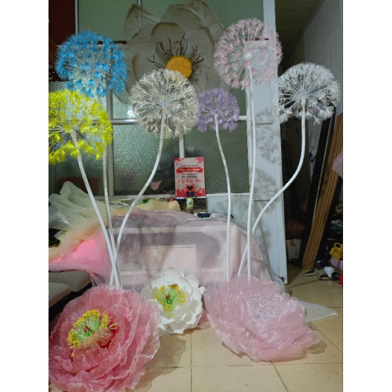 Hoa bồ công anh trang trí