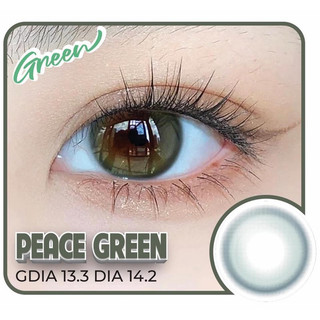 Kính áp tròng MIDLLE GREEN