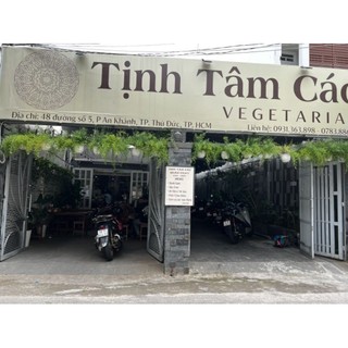 Cây trầu bà xanh ta (chậu treo)