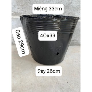 Bầu ươm cây cỡ miệng 33 cao 29cm( mã in trên bầu 40*33),mã 36*30 (miệng 30cm, cao 25cm)