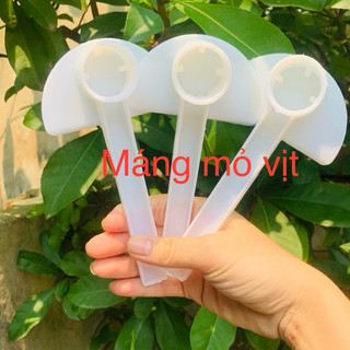 Máng mỏ vịt cho ong, côn trùng nhỏ ăn và uống nước