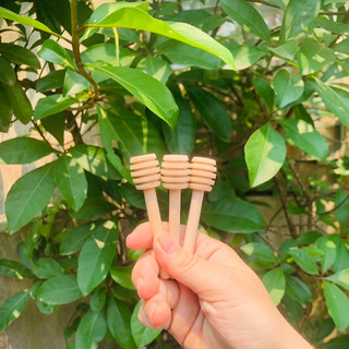 Que ( Muỗng) gỗ khấy mật ong