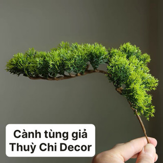 HOẢ TỐC - CÀNH TÙNG GIẢ, NHÁNH TÙNG XANH TRANG TRÍ CÂY CẢNH, LÀM BONSAI - Thuỳ Chi Decor