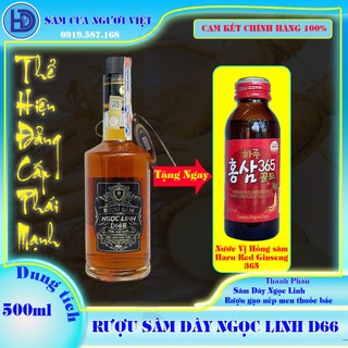 Rượu sâm dây Ngọc Linh D66 500ml/chai rượu sâm tốt cho sức khỏe