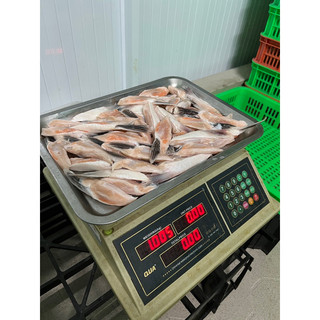 Vây cá hồi 1kg (net đủ)
