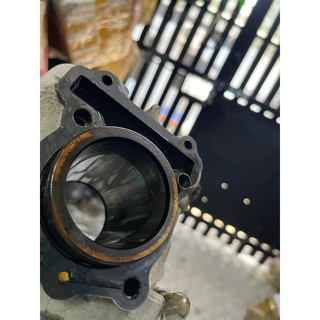 đầu lòng sirius FI