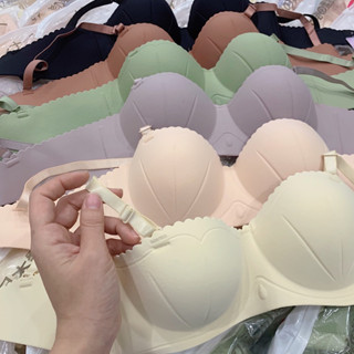 Combo 3 Áo Ngực Vỏ Sò Không Gọng Dầy 2cm MAL022