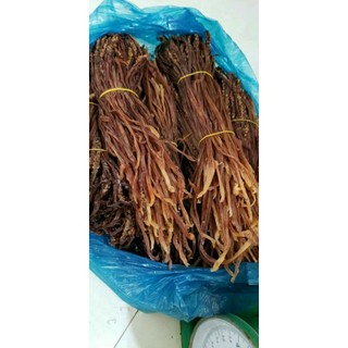 Râu mực , râu mực khơi
