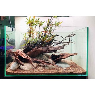  N&T - mị nương lô mới siêu đẹp  size trung  