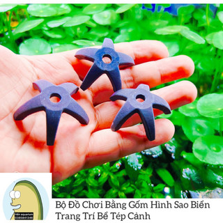 Bộ đồ chơi cho tép hình sao biển (sl 1 cái)