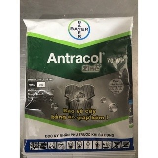Chế phẩm trừ nấm bệnh hoa hồng, hoa lan, cây cảnh Antracol 70WP