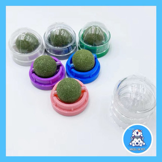 Catnip - Cỏ bạc hà dạng viên dán tường cho mèo.