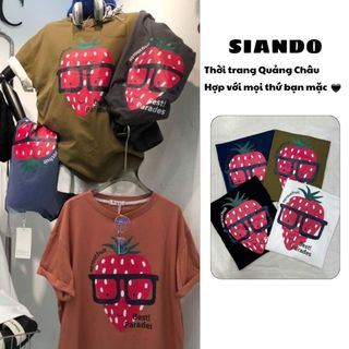Áo thun nữ cotton cổ tròn đẹp form rộng unisex tay lỡ hàng quảng châu SIANDO AT011