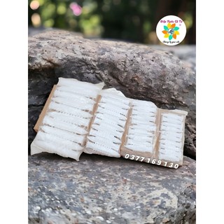 10 con tắc kê nhựa - nở nhựa đủ size các loại
