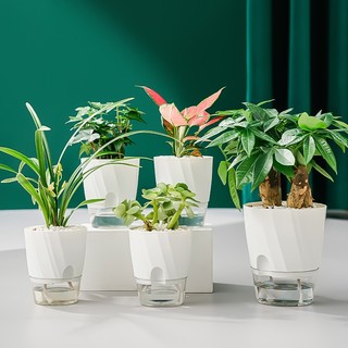 Chậu Trồng Cây Tự Tưới Thông Minh Bằng Dây Cotton, Chậu Thủy Canh Trồng Hoa Và Cây Cảnh Văn Phòng