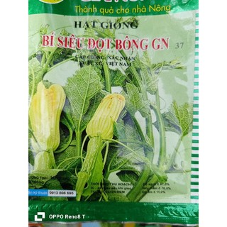 Hạt giống bí siêu đọt, siêu bông.