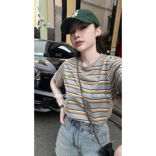 Áo phông form vừa kẻ ngang mcq