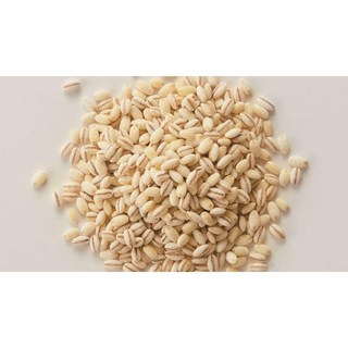 1kg hạt lúa mỳ